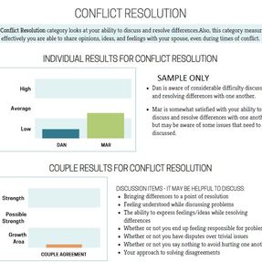 Sample Conflict Resolution Report
